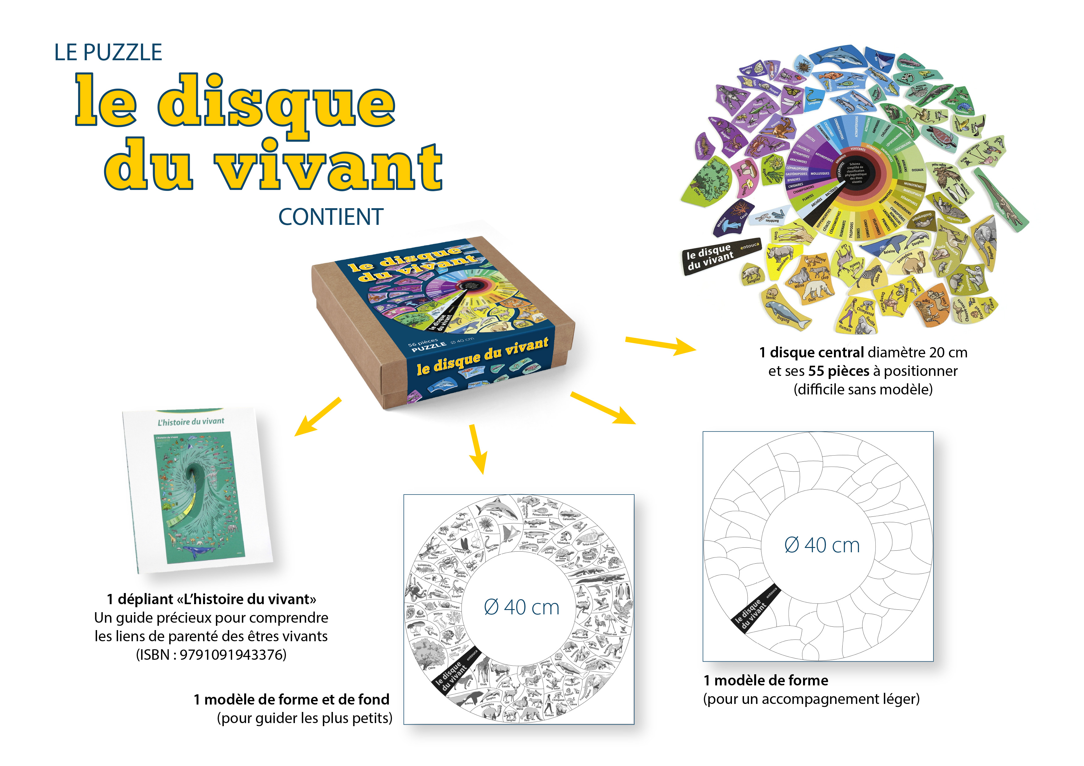 Le puzzle Le disque du vivant contient : 1 dépliant Histoire du vivant (un guide précieux pour comprendre les liens de parenté des êtres vivants), 1 disque central diamètre 20cm et ses 55 pièces à positionner (difficile sans modèle), 1 modèle de forme et de fond (pour guider les plus petits) d'un diamètre de 40cm, et un autre modèle de forme uniquement (pour un accompagnement plus léger).